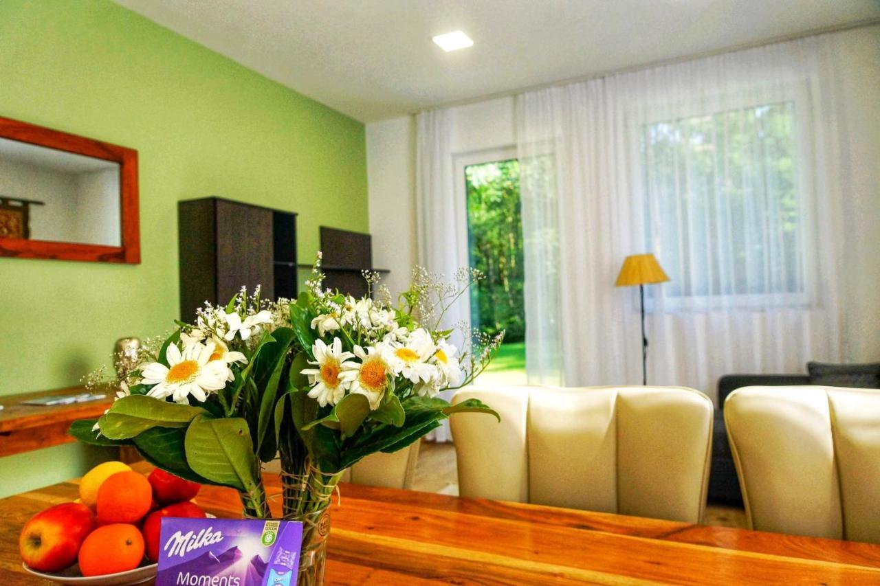 Alpok - Spirit Apartman Park Kőszeg 外观 照片